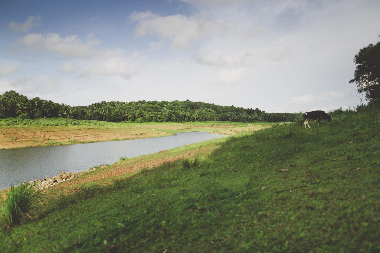 Riverine Springs Wadakkanchery Extérieur photo